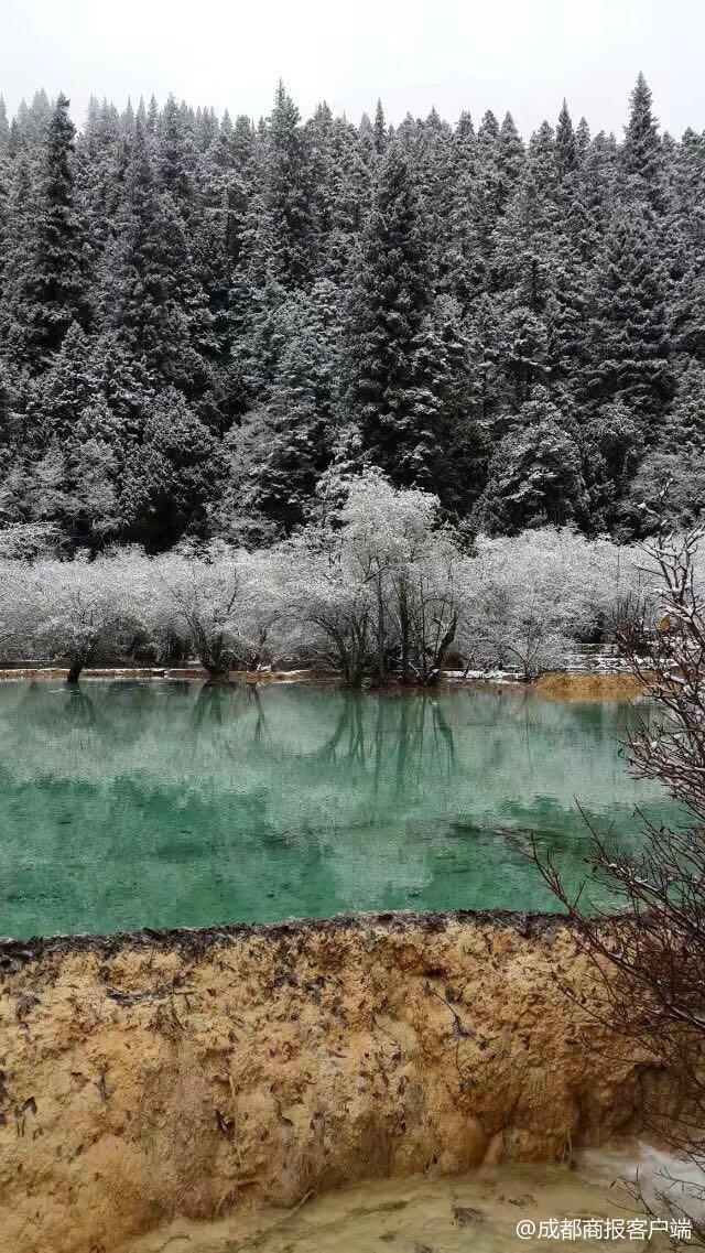 黄龙景区今日温度与独特魅力探访