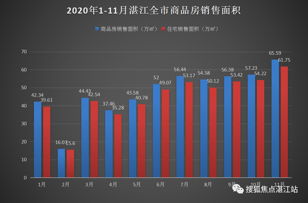 湛江房价走势深度解析，市场动向与未来展望